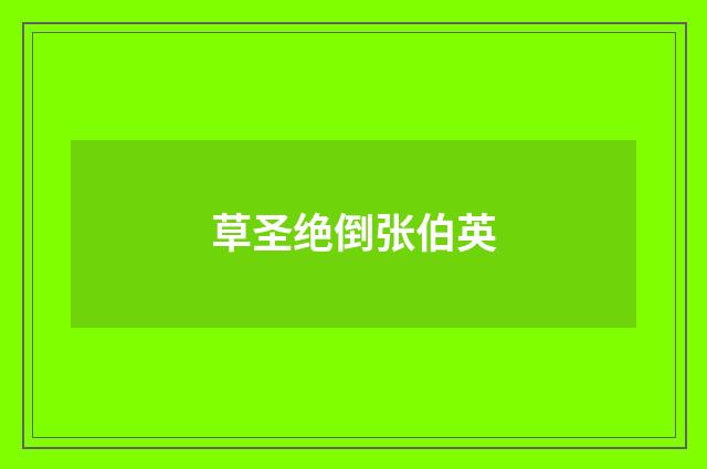 草圣绝倒张伯英