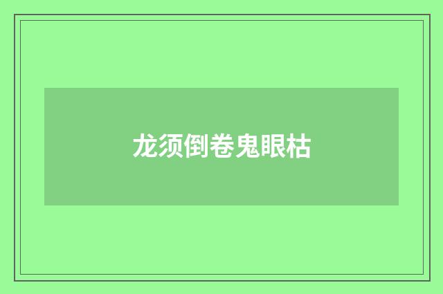 龙须倒卷鬼眼枯
