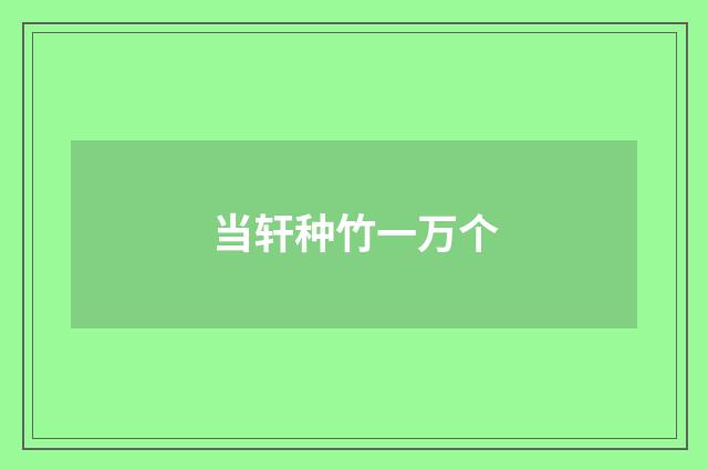 当轩种竹一万个