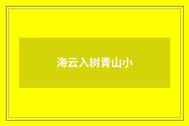 海云入树青山小