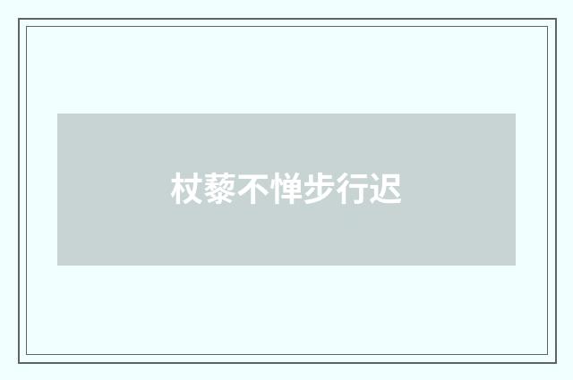 杖藜不惮步行迟