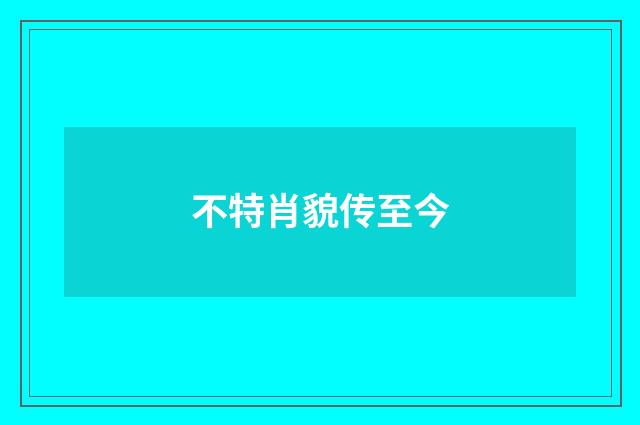 不特肖貌传至今