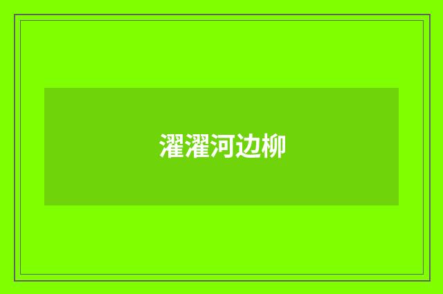 濯濯河边柳
