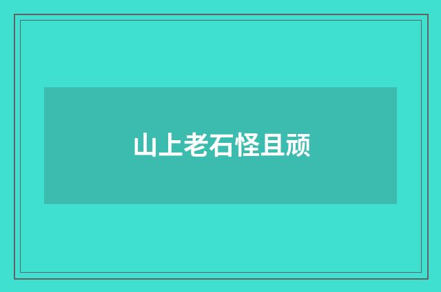 山上老石怪且顽