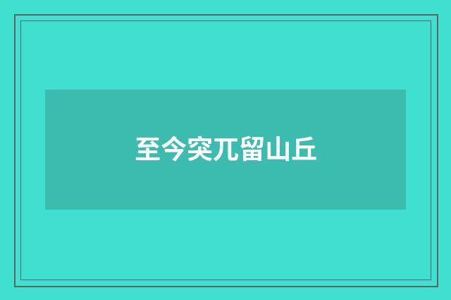 至今突兀留山丘