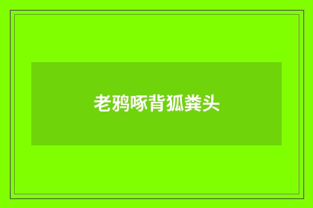老鸦啄背狐粪头