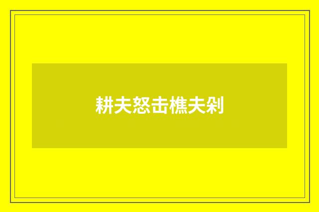 耕夫怒击樵夫剁