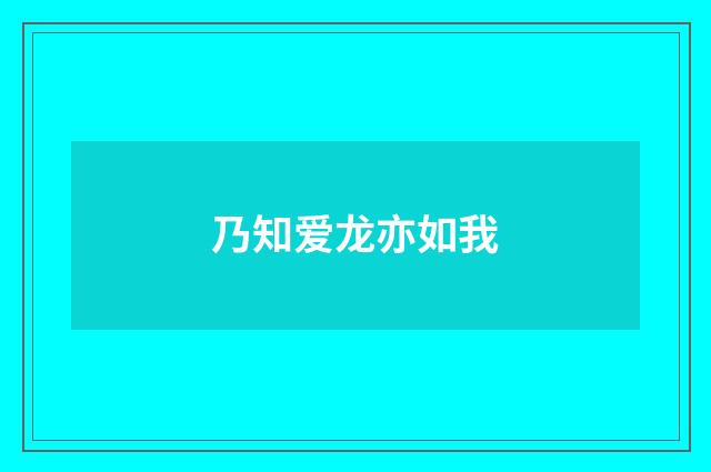 乃知爱龙亦如我