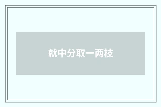 就中分取一两枝
