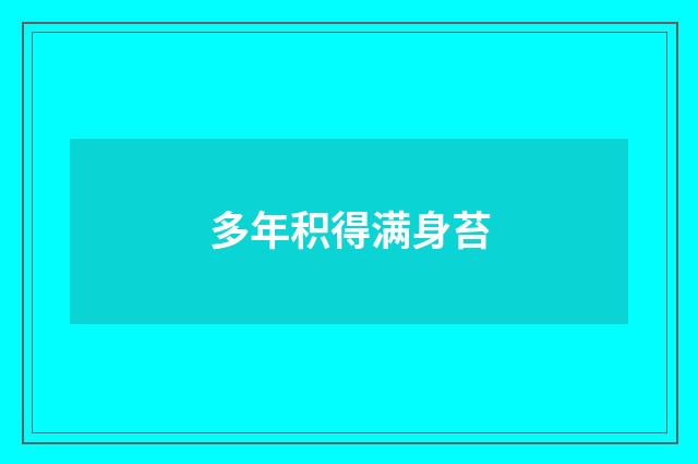 多年积得满身苔