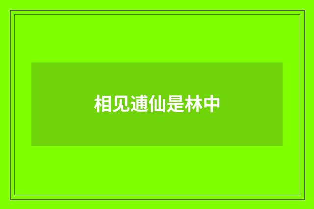 相见逋仙是林中