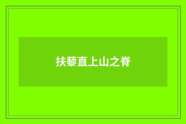 扶藜直上山之脊