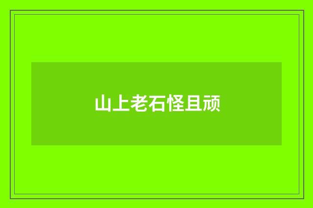 山上老石怪且顽