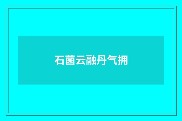 石菌云融丹气拥