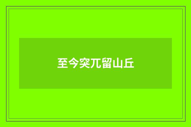 至今突兀留山丘