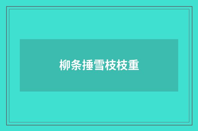 柳条捶雪枝枝重