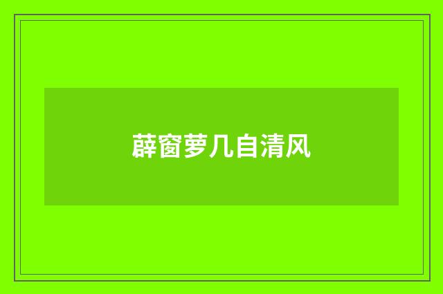 薜窗萝几自清风