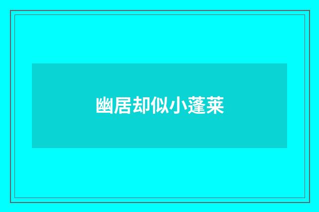 幽居却似小蓬莱