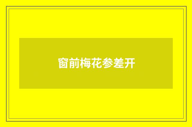 窗前梅花参差开