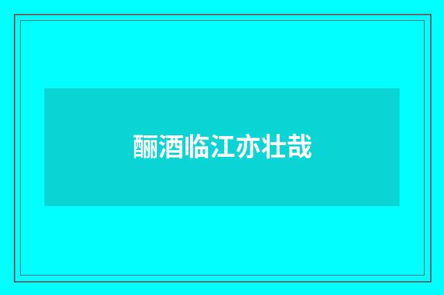 酾酒临江亦壮哉