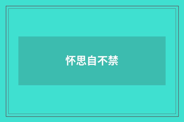 怀思自不禁
