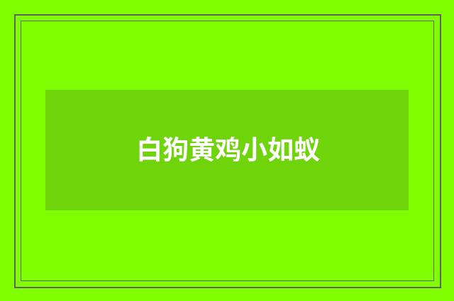 白狗黄鸡小如蚁