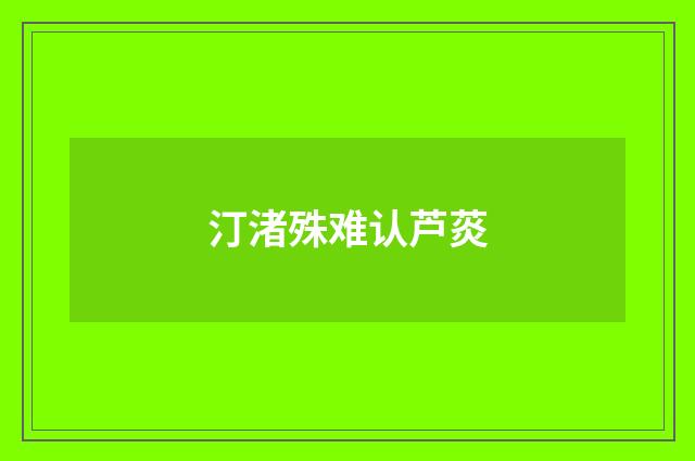 汀渚殊难认芦菼