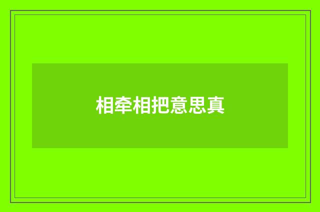 相牵相把意思真
