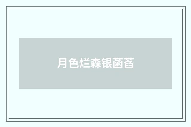 月色烂森银菡萏