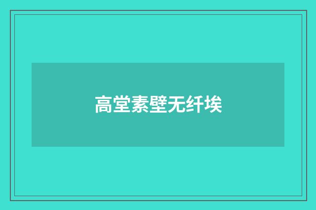 高堂素壁无纤埃