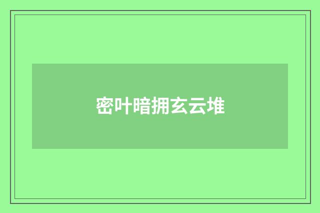 密叶暗拥玄云堆