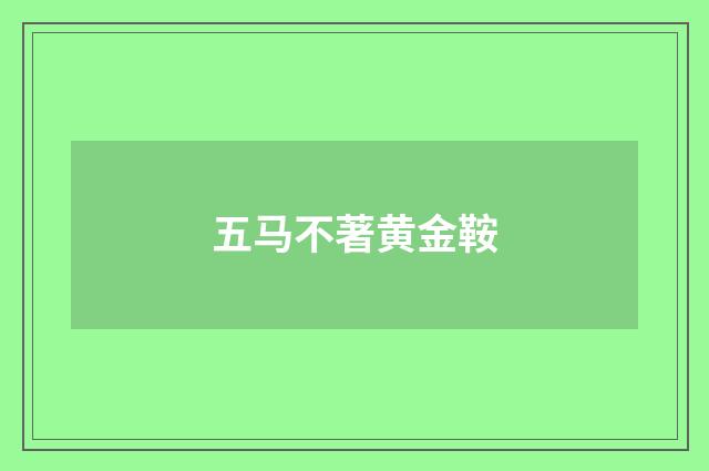 五马不著黄金鞍
