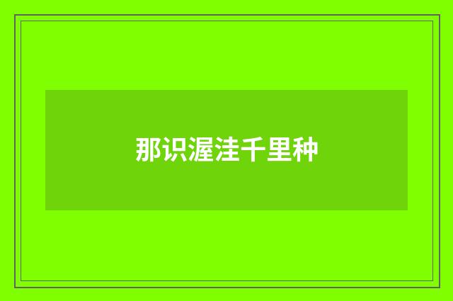 那识渥洼千里种