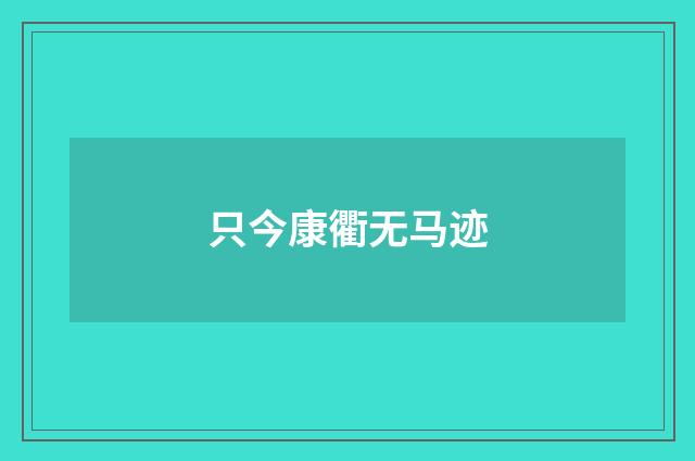 只今康衢无马迹