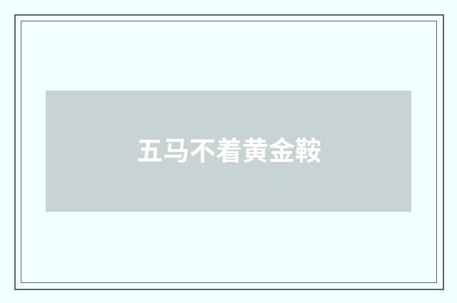 五马不着黄金鞍