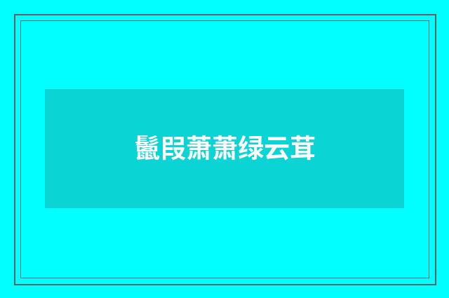 鬛叚萧萧绿云茸