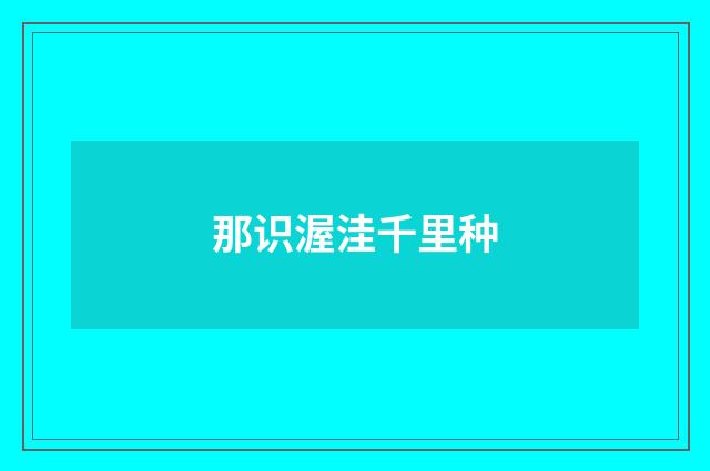 那识渥洼千里种