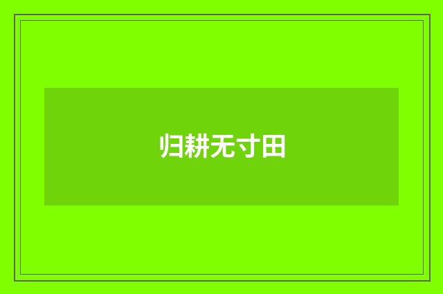 归耕无寸田