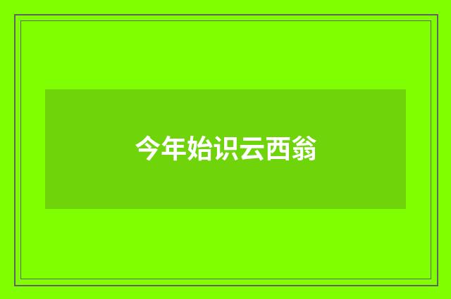 今年始识云西翁