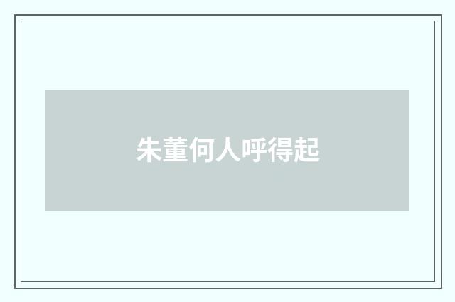 朱董何人呼得起