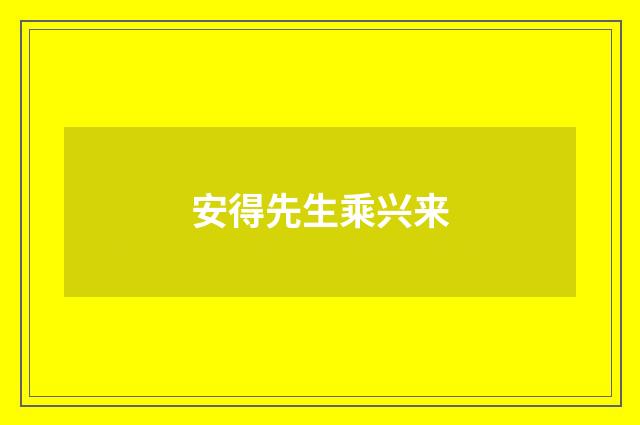 安得先生乘兴来