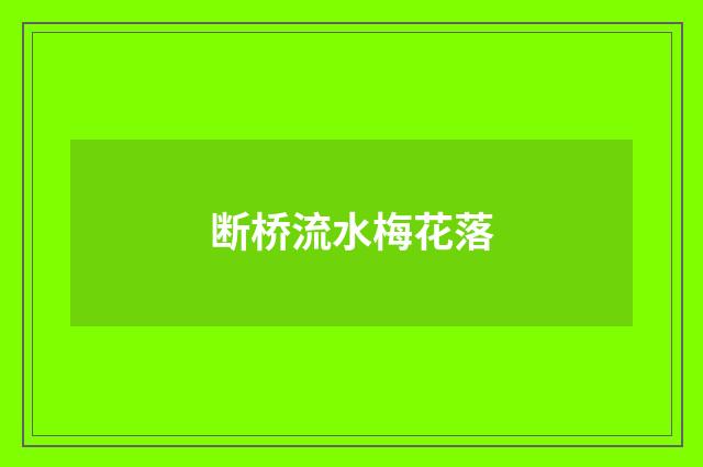 断桥流水梅花落
