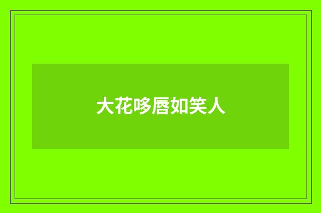 大花哆唇如笑人