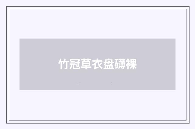 竹冠草衣盘礴裸