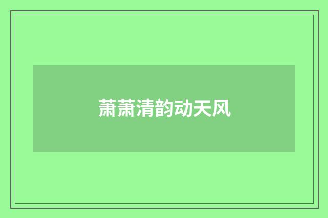 萧萧清韵动天风