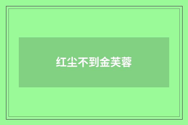 红尘不到金芙蓉