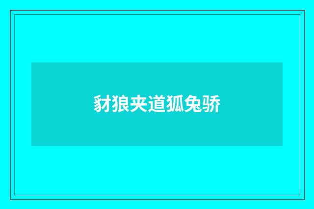 豺狼夹道狐兔骄