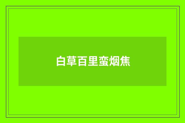 白草百里蛮烟焦