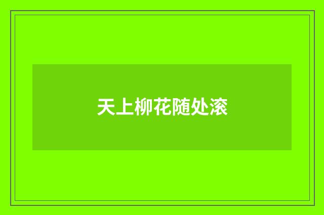 天上柳花随处滚
