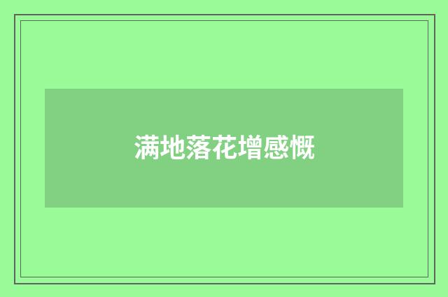 满地落花增感慨